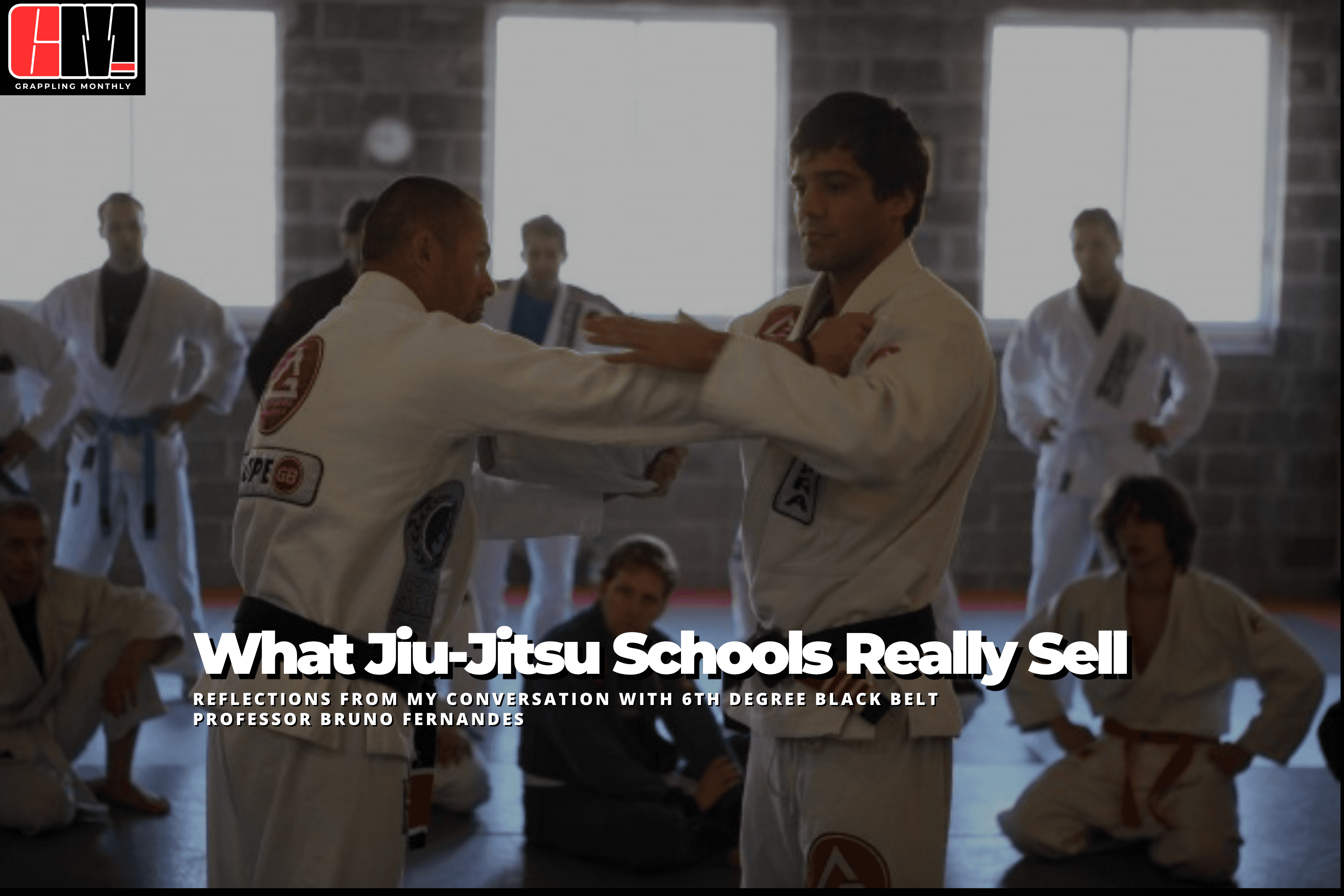 What jiu-jitsu schools actually sell
